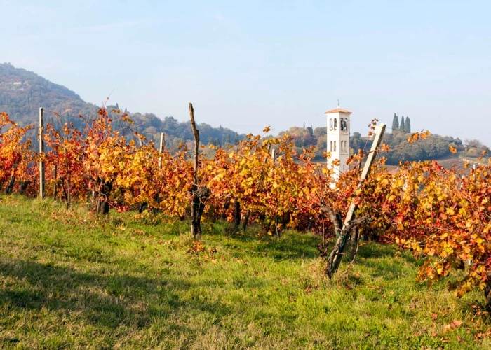 L’azienda: la storia, il territorio, la filosofia